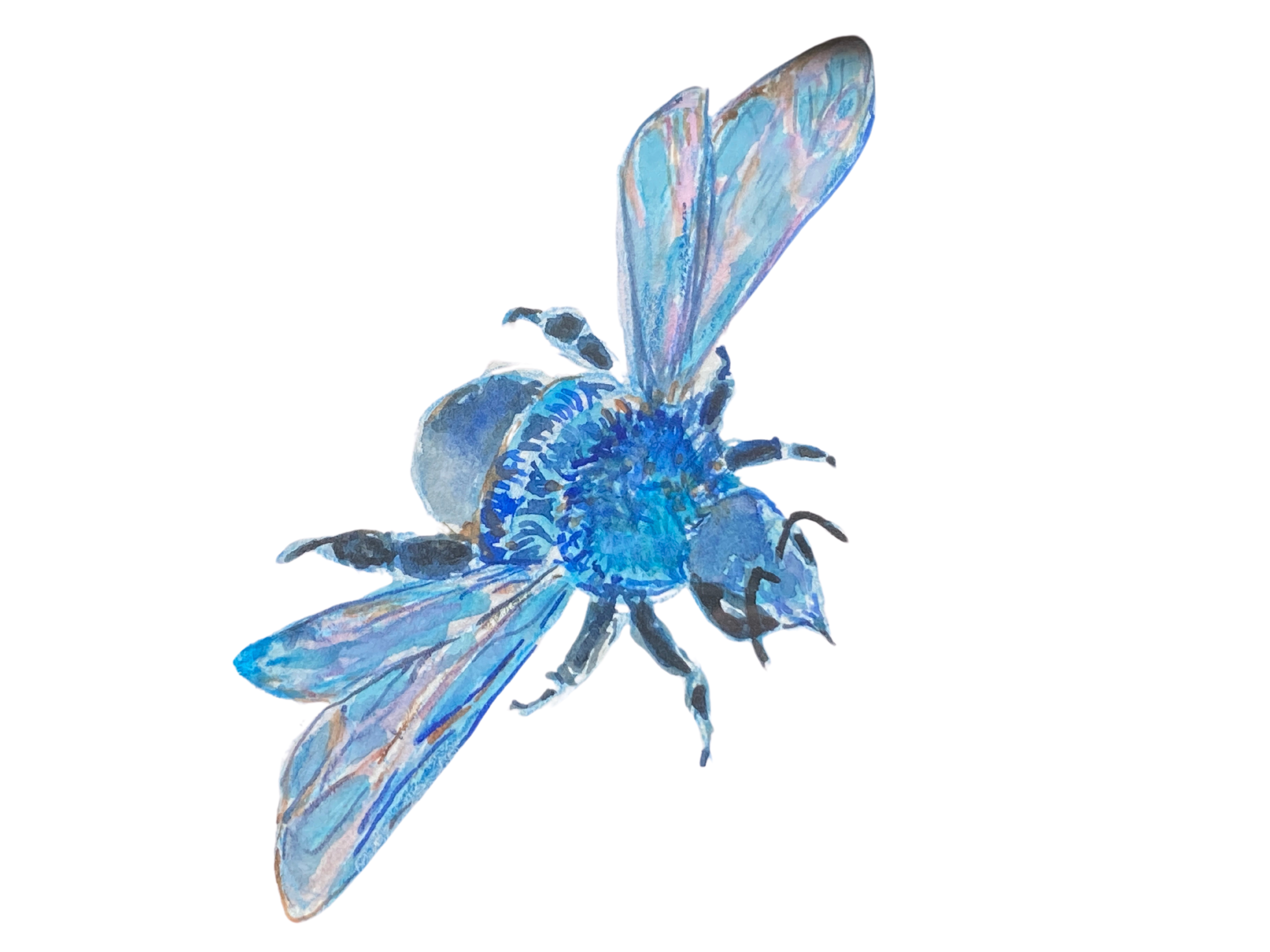 blue bee logo